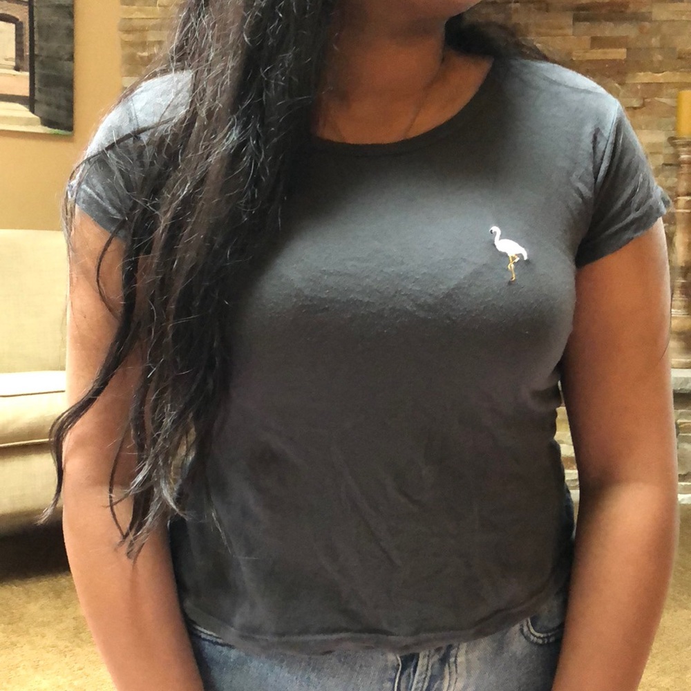 PACSUN Gray Flamingo Graphic Tee